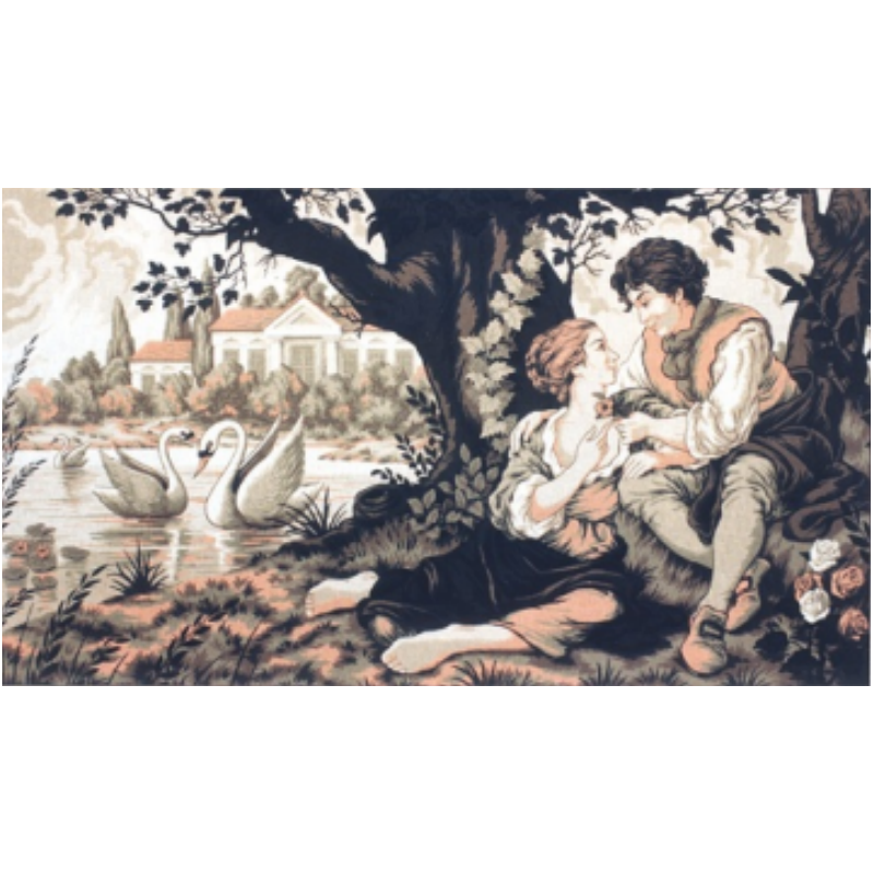 Ερωτευμένοι κύκνοι