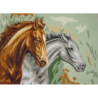 Horses