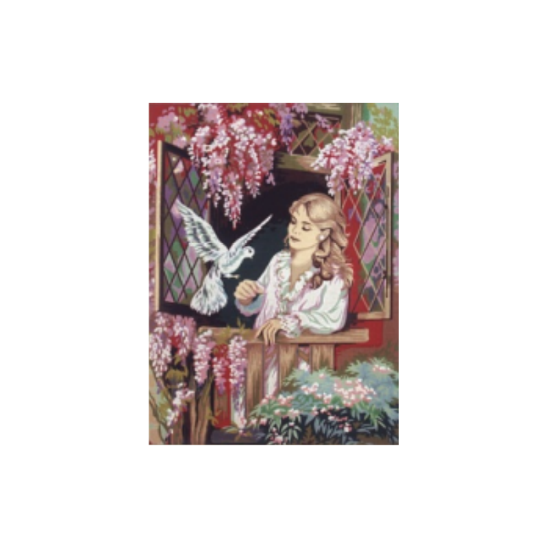 Περιστέρι στο παράθυρο