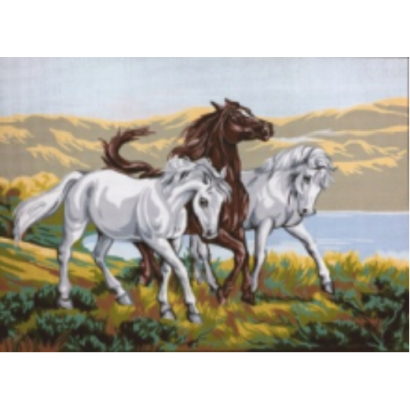 Horses Exochi