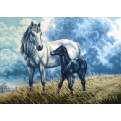 Horses Agro