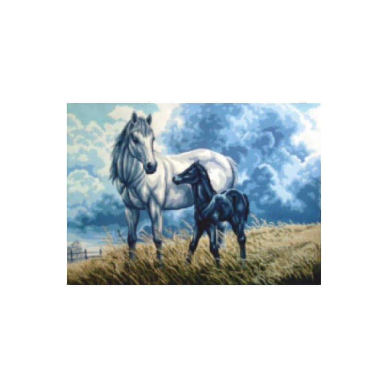 Άλογα στον αγρό