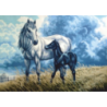 Horses Agro