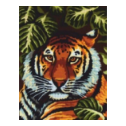 Tigris