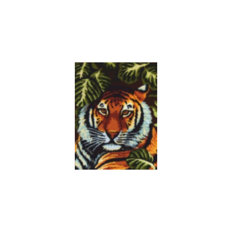 Tigris