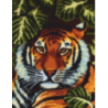 Tigris