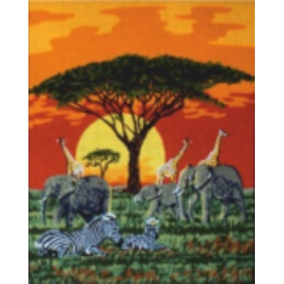 Safari
