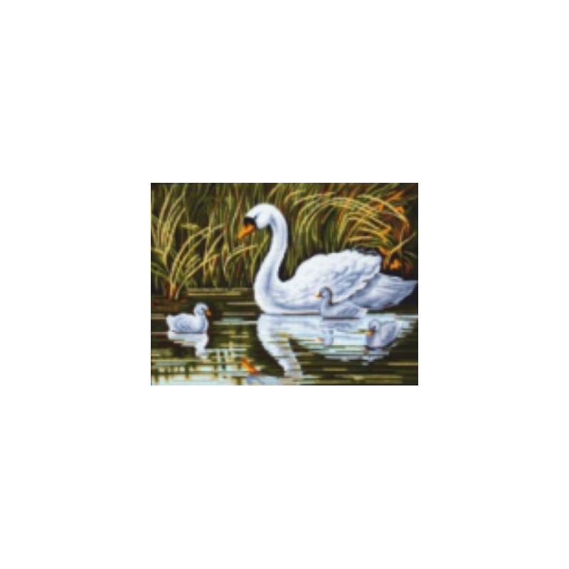 Swans