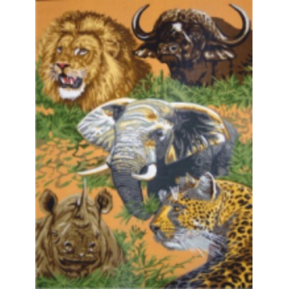 Safari