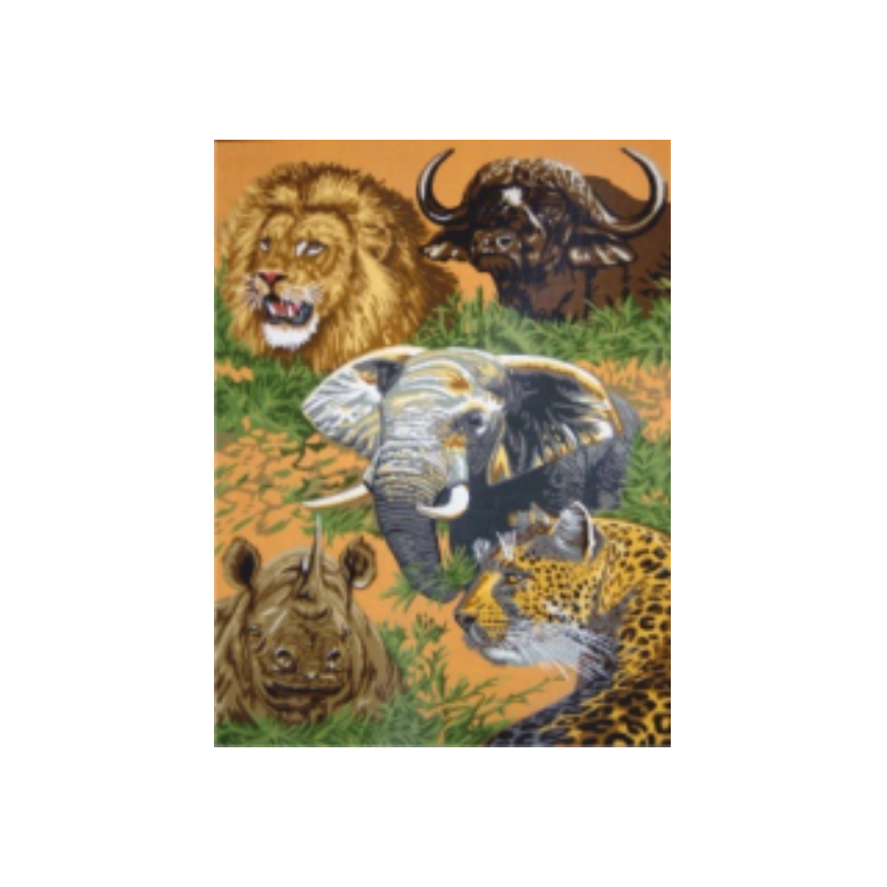 Safari