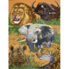 Safari