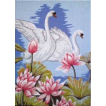 Swans Noyfara
