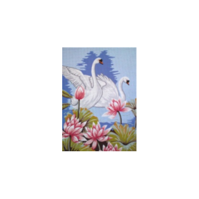 Κύκνοι στα νούφαρα