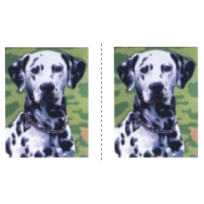 Dalmatias (double Embroidery)