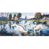Swans Limni