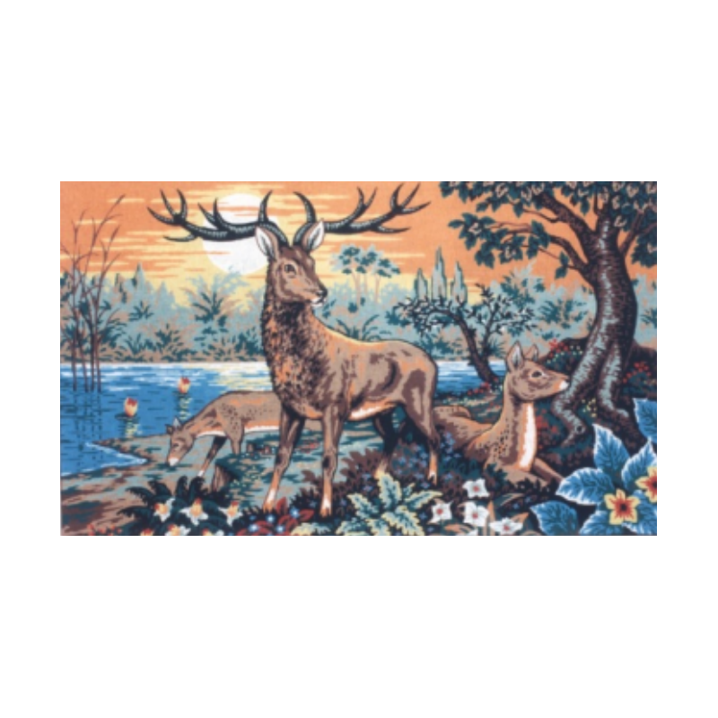 Τάρανδοι στο ηλιοβασίλεμα