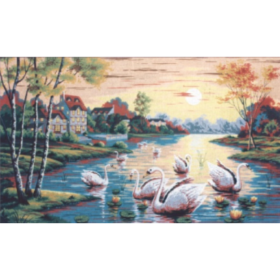Swans Iliovasilema
