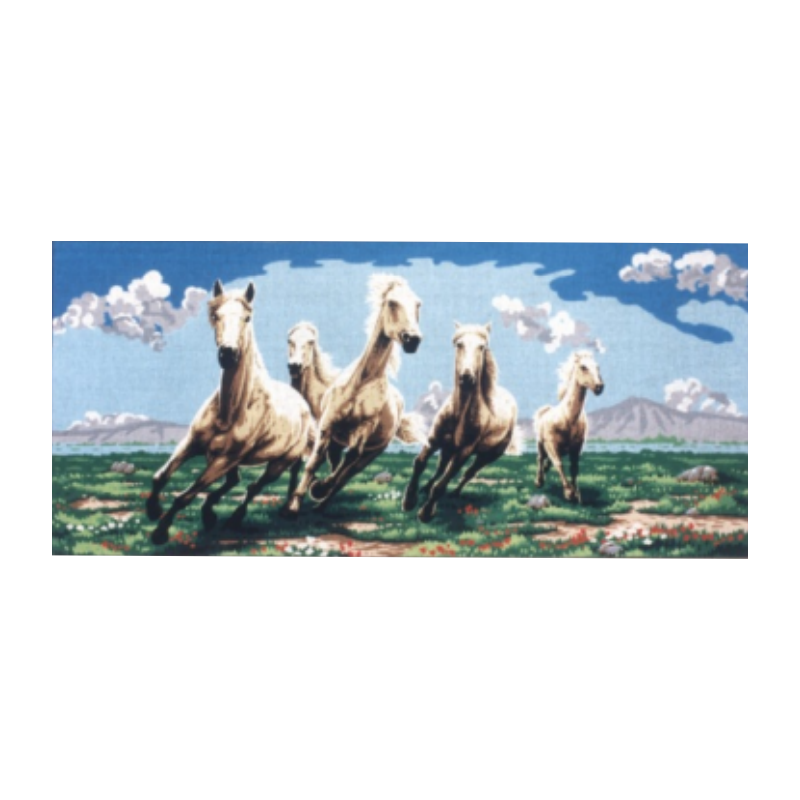 Καλπάζοντας στο λιβάδι