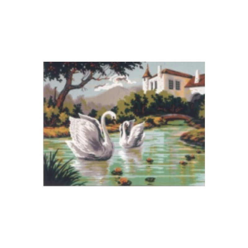 Swans