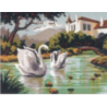 Swans