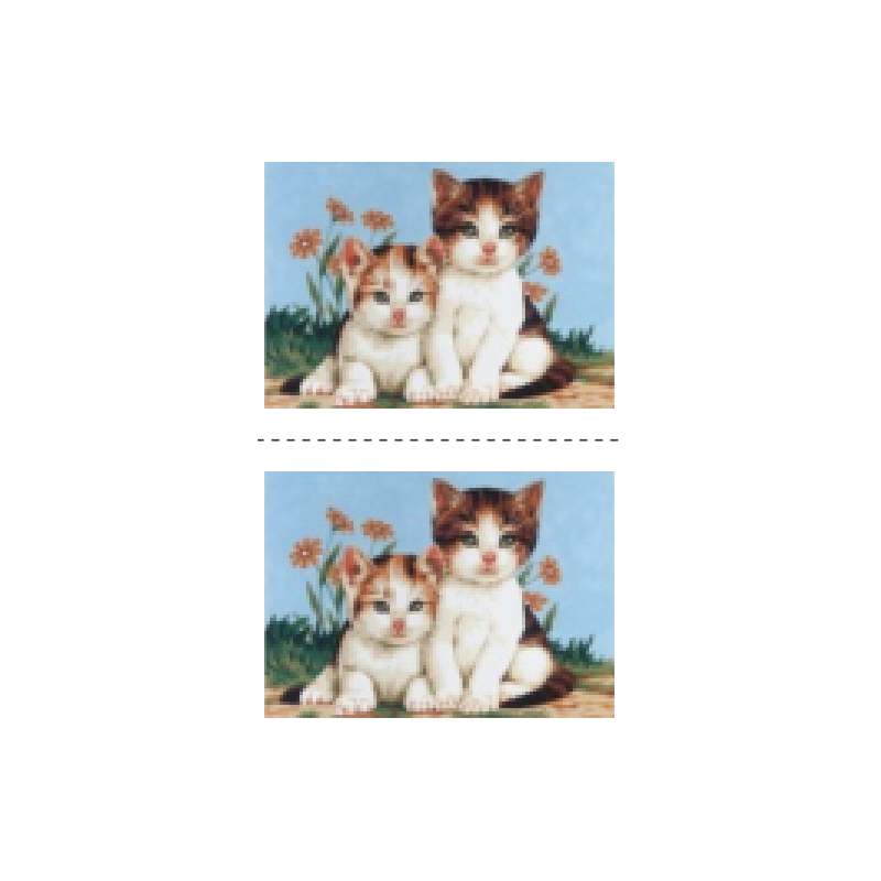 Τα γατάκια (διπλό κέντημα)