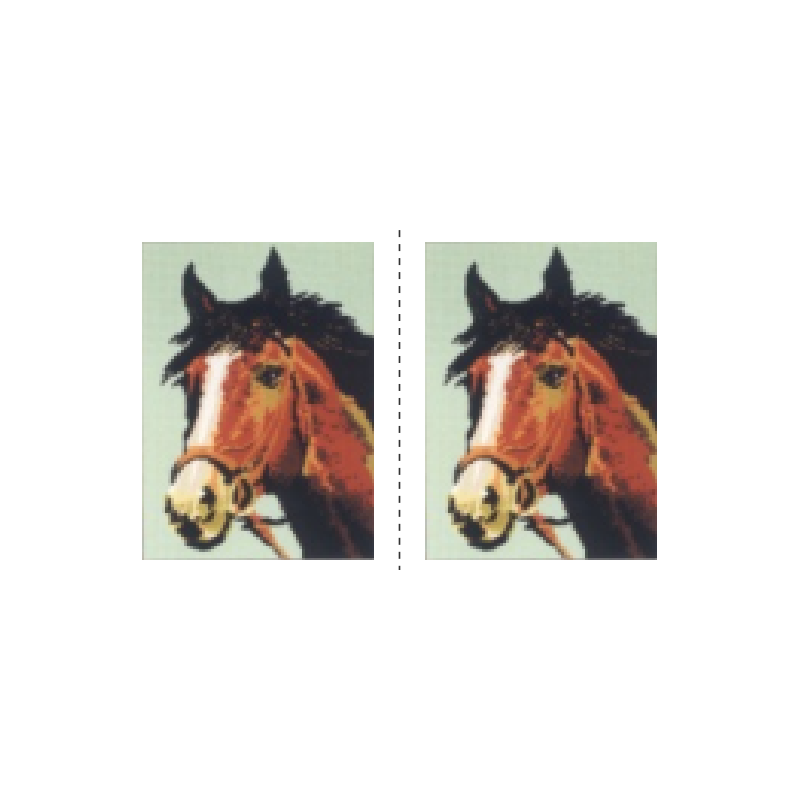 Το άλογο (διπλό κέντημα)