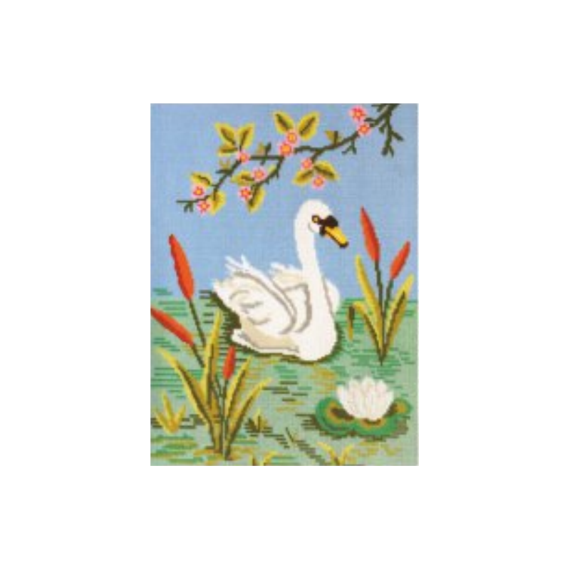 Swan