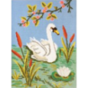 Swan