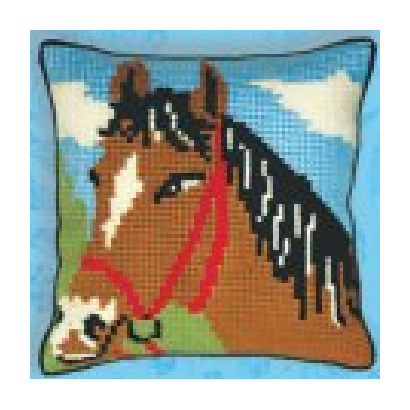 Kids Cushion Kit Alogo