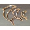 Dreamcatchers Delfini
