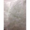 Gemisma For Maxilaria 500gr
